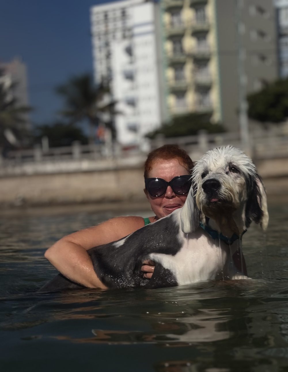 Бобтейл Крис в воде
